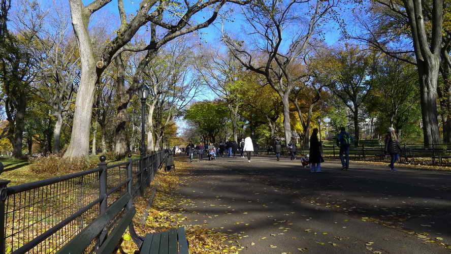 NYC_2017-11-23 11-42-46_P1140157